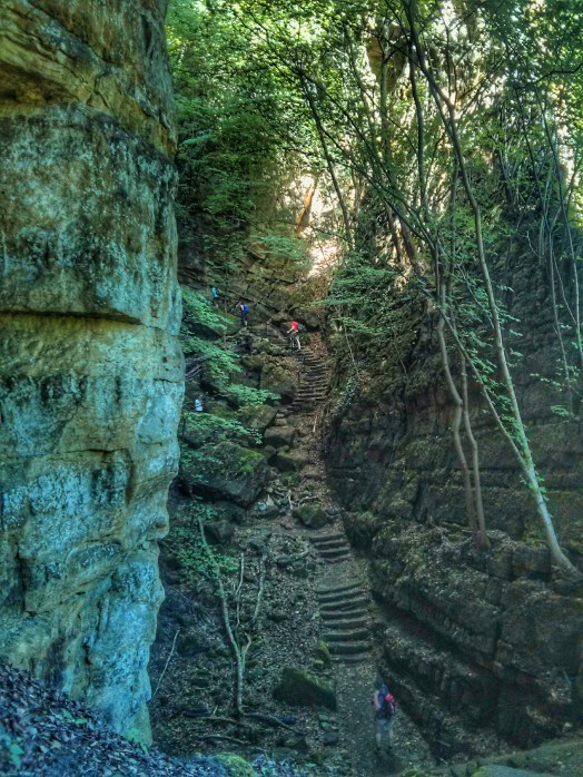 IMG_20170527_112205-01